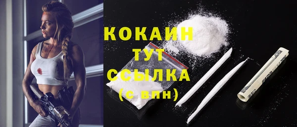 гидра Нея