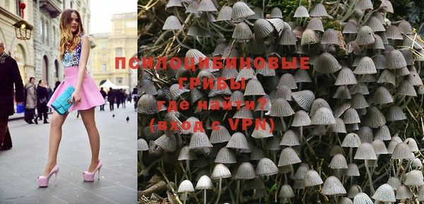 гидра Нея