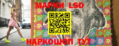 гидропоника Дубна