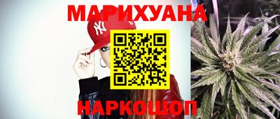 индика Бийск