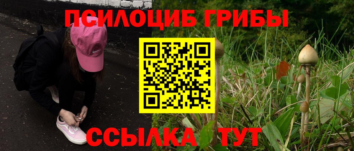 Комсомольск-на-Амуре  Галлюциногенные грибы Magic Shrooms  Вход с VPN 